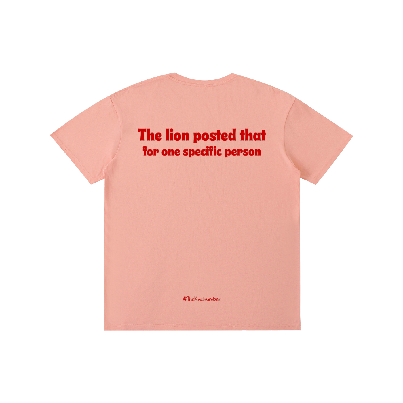 The Lion posted that for one specific person | Unisex T-Shirt