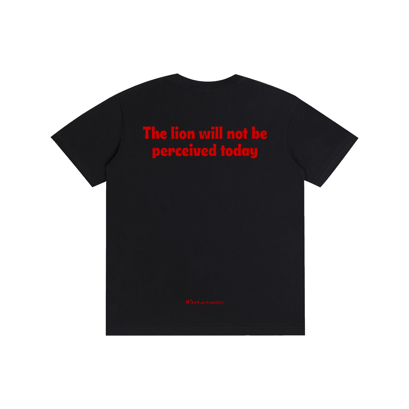 The Lion will not be perceived today T-Shirt