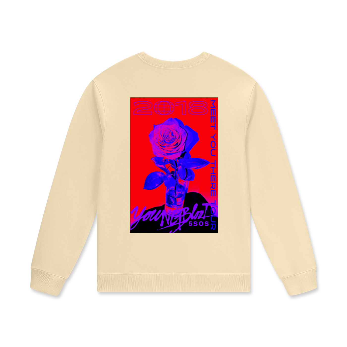 5sos,5 seconds of summer,concert,merch,fan made,one direction,vintage merch