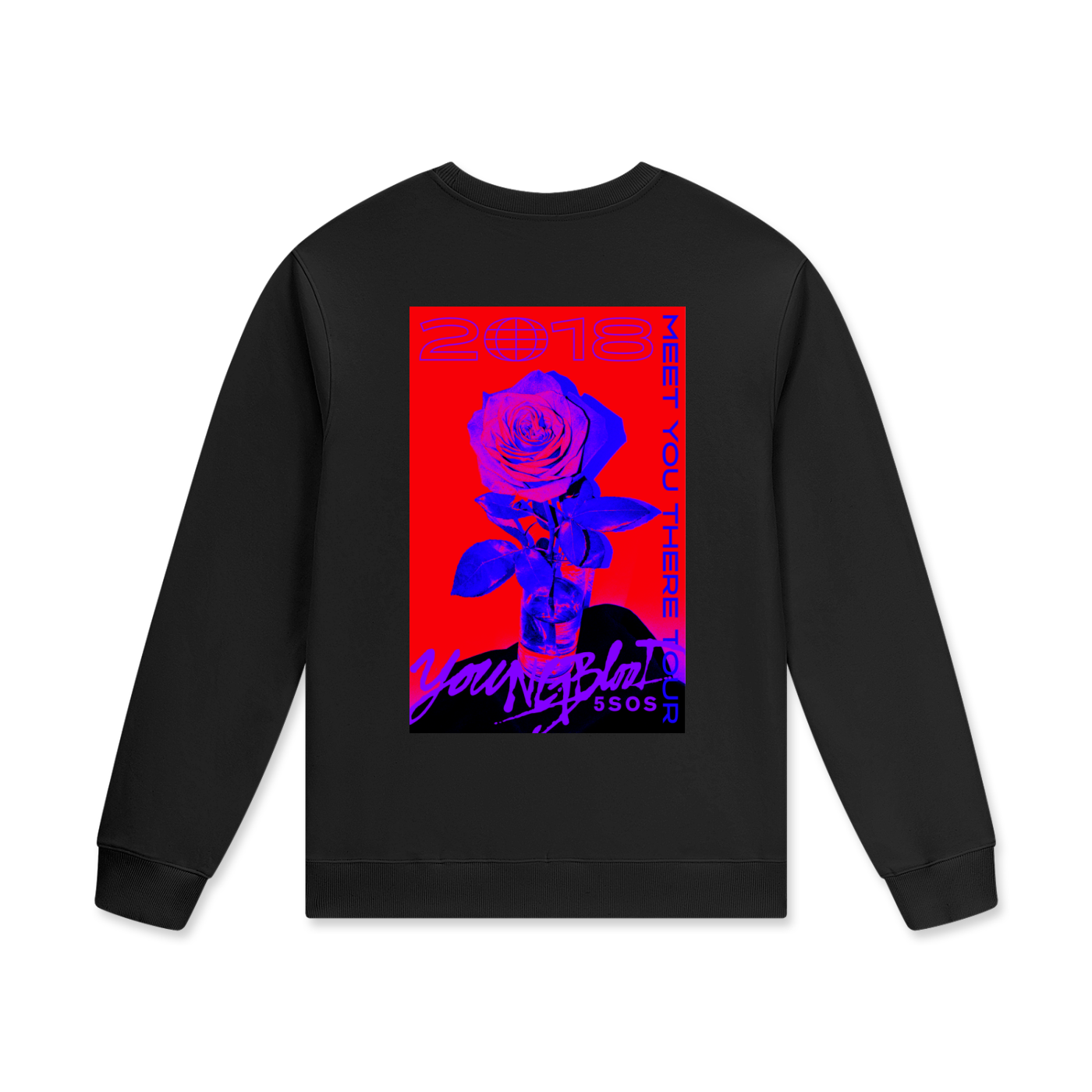 5sos,5 seconds of summer,concert,merch,fan made,one direction,vintage merch