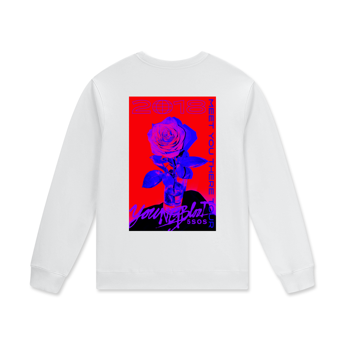 5sos,5 seconds of summer,concert,merch,fan made,one direction,vintage merch