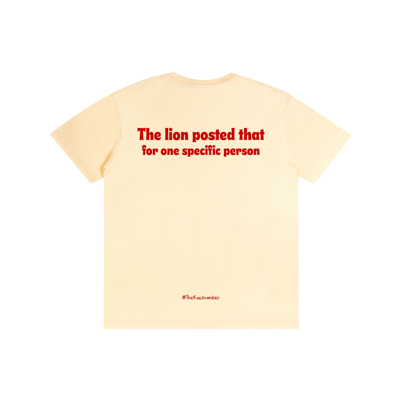 The Lion posted that for one specific person | Unisex T-Shirt